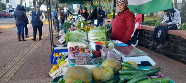 Con gran éxito se realizó la Feria de la Agricultura Familiar en Encarnación