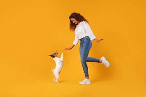 Estados de ánimo que se contagian: así influye tu humor en tu mascota - Mascotas - ABC Color