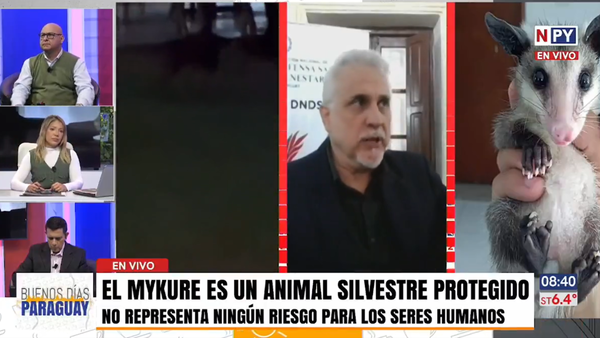 ¡Inhumano y criminal! Mataron a un mykurë y sus crías en Luque