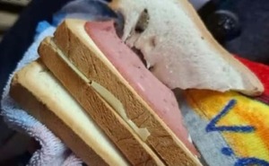 ¡Niña de 4 años tenía sándwich con marihuana en su escuela!