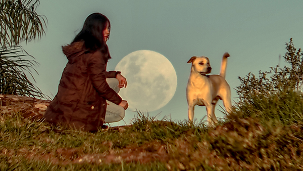 Fase lunar imperdible con la última luna llena de otoño