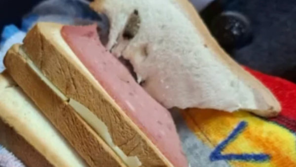 Hallaron "el purete" en el sándwich de una nena en plena escuela