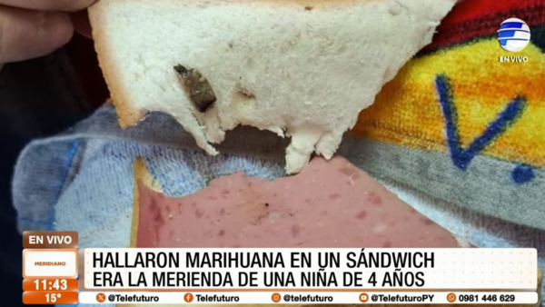 Hallan marihuana en el sándwich de una niña de 4 años