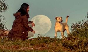 Fase lunar imperdible con la última luna llena de otoño – Prensa 5
