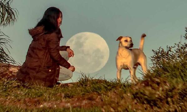 Fase lunar imperdible con la última luna llena de otoño – Prensa 5