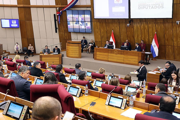 Diputados concluyen que la intervención en Ciudad del Este está jurídicamente justificada - ADN Digital