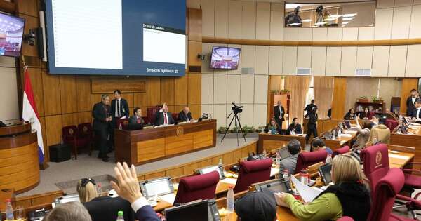 La Nación / Senado otorga media sanción a proyecto que impide múltiple ejecución de pagarés