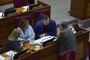 Senado aprueba ley “placebo” anti mafia de pagarés - Política - ABC Color