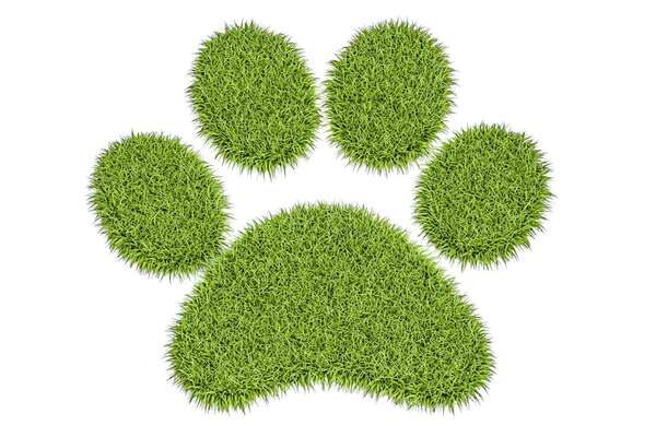 Perros eco-friendly: las razas que cuidan el planeta con su bajo impacto ambiental - Mascotas - ABC Color