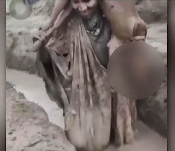 Universidad se lava las manos de ingresantes de veterinaria que usaron como “trofeo” a un perro agonizando