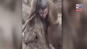 UCA investiga bautismo en Veterinaria con presunto maltrato animal