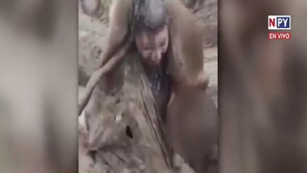 UCA investiga bautismo en Veterinaria con presunto maltrato animal
