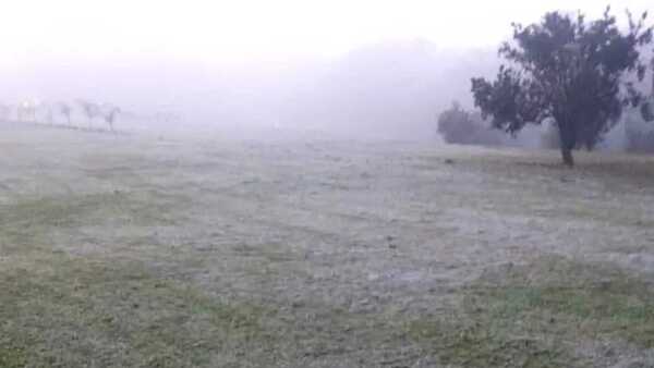 Primeras escarchas del año cubren paisaje del frío amanecer en Itapúa