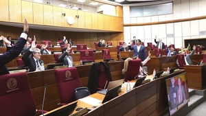 Senado aprueba ley contra mafia de pagarés