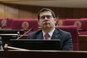 Caja Fiscal: Orué asegura que gobierno no acompañará el aumento ni la creación de impuestos - Economía - ABC Color