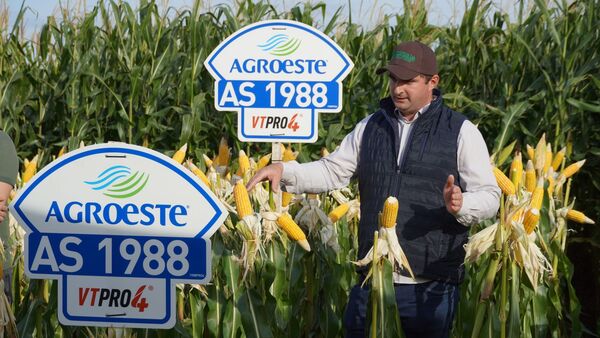 Agrofértil destacó el potencial del híbrido AS 1988 VTPRO4 en la Jornada de Maíz de la Cooperativa Volendam