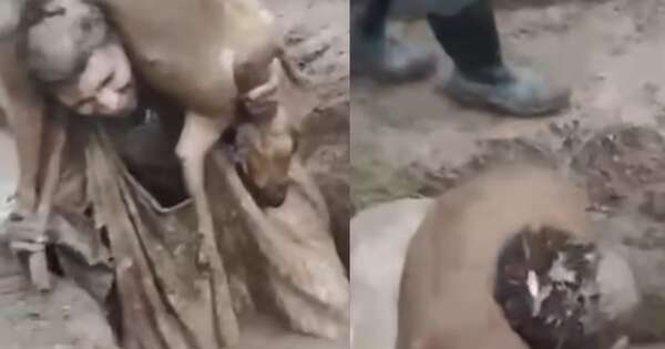 Diario HOY | Cruel bautismo de Veterinaria: realizan diligencia para identificar a implicados