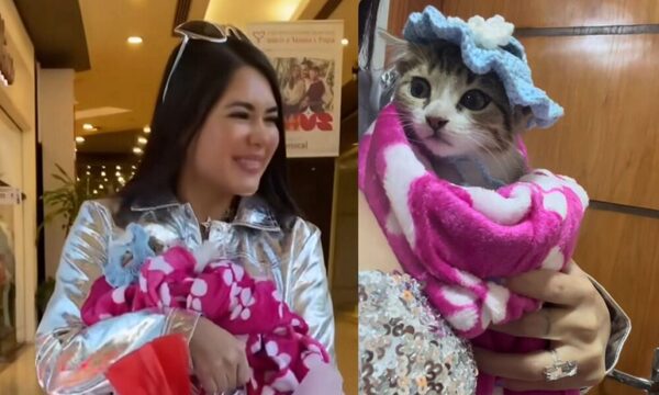 ¡Hekovia Hortensia! Laurys presentó a su nueva mascota: “La gatita que me adoptó”