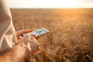 Cierre de campaña: claves para mejorar la gestión agropecuaria