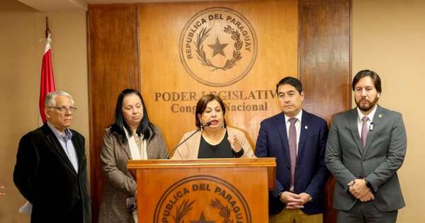 La Nación / Sesión extraordinaria para tratar ley electoral