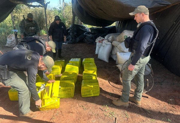 Eliminan campamentos narcos y casi 600 kilos de marihuana en zona rural de Concepción - .::Agencia IP::.