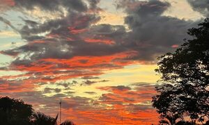 Meteorología anuncia día fresco con vientos del noreste