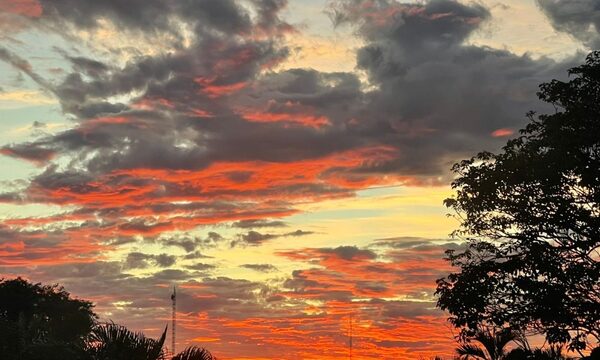 Meteorología anuncia día fresco con vientos del noreste