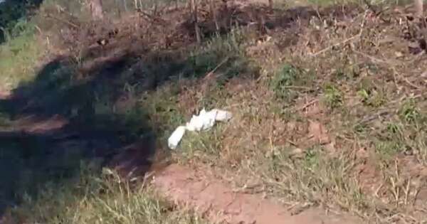 La Nación / Quiindy: solicitan ayuda para la bebé Milagros, abandonada en un camino vecinal