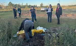 Fiscalía refuerza hipótesis de maltrato animal y avanza en la identificación de responsables del bautismo - OviedoPress