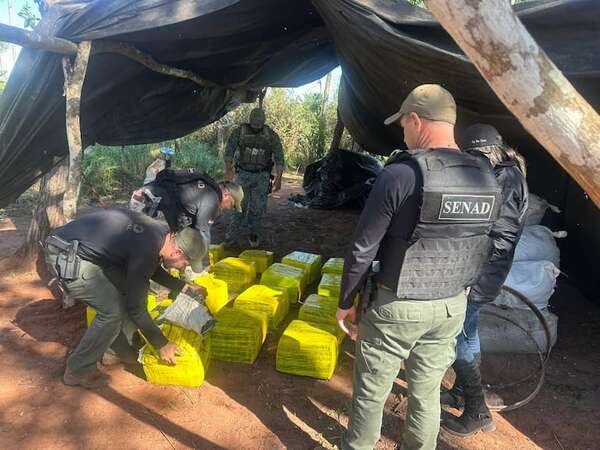 Yby Yaú: destruyen campamentos narco y 592 kilos de marihuana - Nacionales - ABC Color