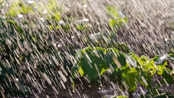 Lluvias llegarán el sábado por la mañana - Portal Digital Cáritas Universidad Católica
