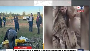 Hallan animales muertos tras bautismo estudiantil en Caaguazú