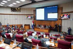 Senado modifica artículos del Código Electoral impulsados por el cartismo - Política - ABC Color