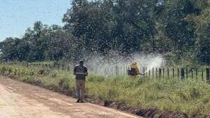 Productores del Chaco se mantienen alertas tras la aparición de un enjambre de langostas - Economía - ABC Color