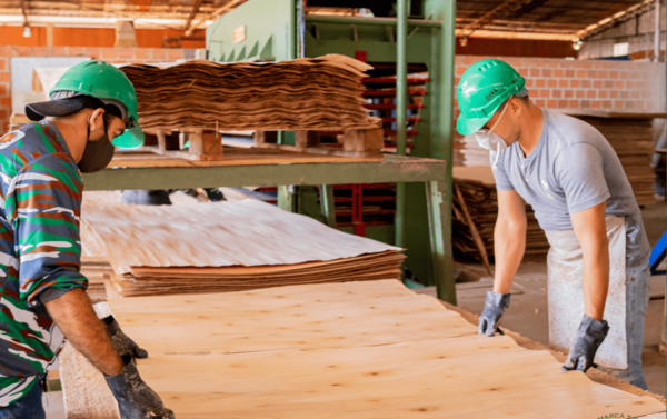 R茅cords de exportaci贸n y auge de inversiones marcan la antesala de la Expo Madera 2025