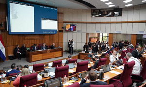 Senado aprueba cambios claves en el Código Electoral - OviedoPress