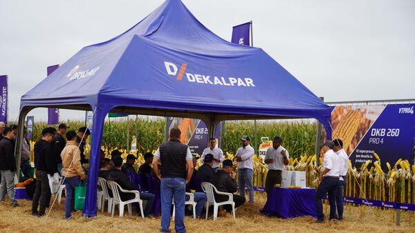 Dekalpar presentó el híbrido DKB 260 VTPRO4 en Jornada de Híbridos de Maíz en San Pedro