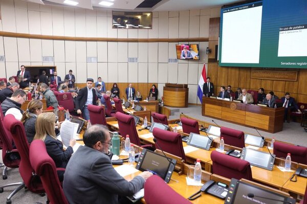 Senado sanciona modificación de 2 artículos del Código Electoral