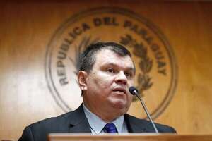 Modificación de artículos del Código Electoral dará más transparencia, señala senador Amarilla  - Política - ABC Color