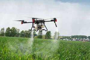 Najla Awad: “300 drones sobrevuelan el campo paraguayo” - ABC Rural - ABC Color