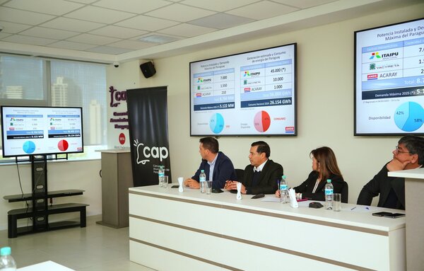 Analizaron desafíos y proyectos del sector eléctrico paraguayo - .::Agencia IP::.