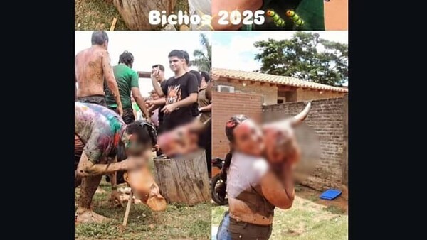 Bautismo Veterinaria: Encontraron el cuerpo del perro y de otros animales