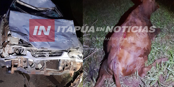 AUTOMÓVIL COLISIONÓ CONTRA UNA VACA EN JESÚS