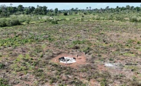 Eliminan más de 10 toneladas de marihuana y destruyen centro de acopio
