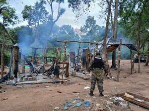 Destrucción de campamento precario y marihuana en Amambay - Policiales - ABC Color