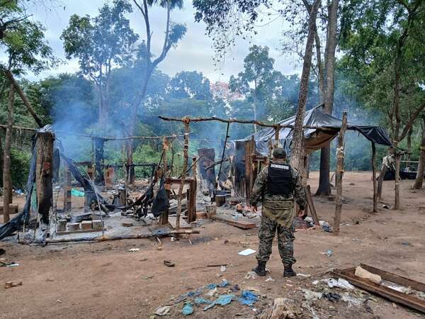 Destrucción de campamento precario y marihuana en Amambay - Policiales - ABC Color
