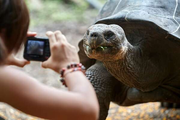 ¿Por qué las Islas Galápagos tienen tantas especies únicas? - Ciencia - ABC Color