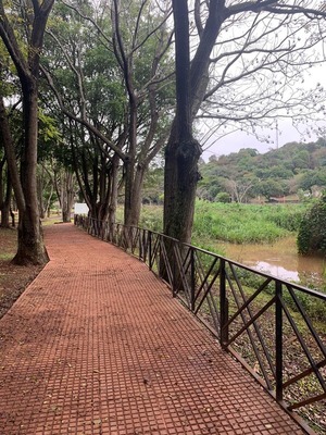 Domingo con ambiente fresco a cálido - La Clave