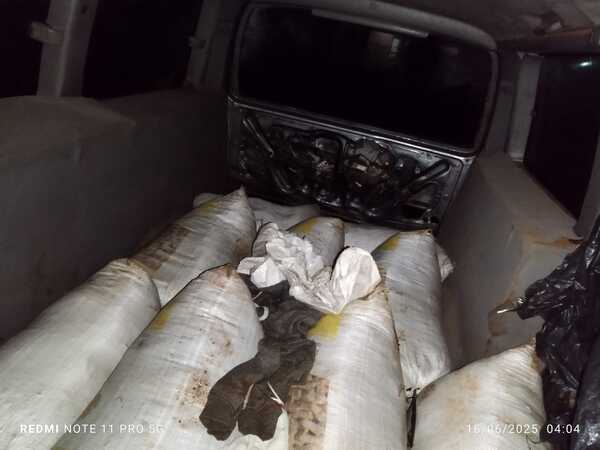 INCAUTAN VEHÍCULO CON PRESUNTA MARIHUANA EN COLONIA KRESSBURGO
