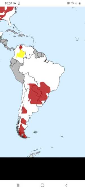 Experto aconseja una estrategia escalonada para aprovechar el gas natural del Chaco paraguayo